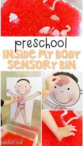 Human body activities, projects, and resources for kids. Preschool My Body Mrs Plemons Kindergarten
