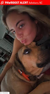 Did anyone lose a dog near Circle K