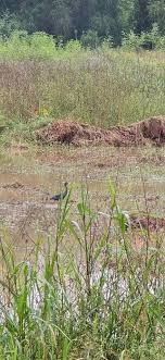 Candace Dunson Photography