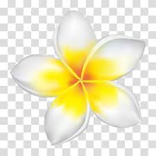 Red Frangipani Transparent Background Png Cliparts Free Download Hiclipart Check out our champa flower selection for the very best in unique or custom, handmade pieces from our bath & beauty shops.