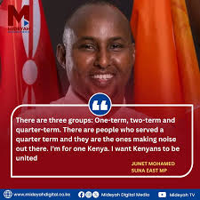 MP Junet Mohamed: There are three groups: One-term, two-term and  quarter-term. There are people who served a quarter term and they are the  ones making noise out there. I'm for one Kenya.