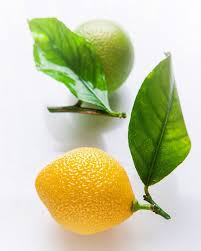 Pin On Food