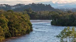 The amazon rainforest is the world's largest intact forest. Ask In The Forest Day Who Owns The Amazon Rainforest Sgk Planet