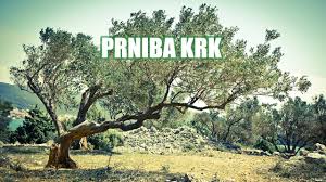 How long the space bar should be held before the timer turns green. Prniba Krk Hyperlapse Youtube
