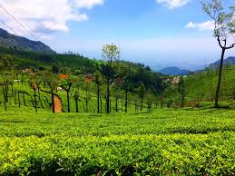 Beautiful Hill Station Otty Wallpaper Hd 1920p Ooty Hill Station Hd 1920x1440 Wallpaper Teahub Io Find over 100+ of the best free hill station images. beautiful hill station otty wallpaper