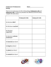 Prokaryotes Vs Eukaryotes Graphic Organizer Biology Lessons Prokaryotes Graphic Organizers