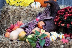 Cornucopia definition, a horn containing food, drink, etc., in endless supply, said to have been a horn of the goat amalthaea. What Is A Cornucopia Wonderopolis