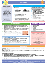 Image result for scabies transmission