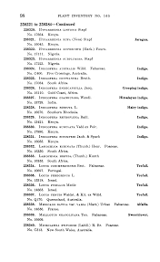Image result for Hyparrhenia subplumosa