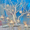 Winter wedding decoration ideas can also take inspiration from icy tones and the beauty of neutral surroundings that lend an elegance and sophistication to the ceremony and reception. 1