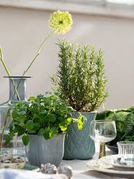 Sparrisknopp Ubertopf Hellblau 12 Cm Ikea Osterreich Pot Lights Potted Plants Indoor Plant Pots