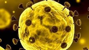 6 Gejala Corona Terbaru Selain Batuk Dan Demam Bisa Halusinasi Cium Bau Menyengat