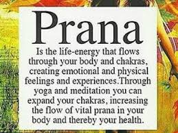 Sanskrit For Yogis 50 Key Sanskrit Terms Every Yogi Should Know Pranic Healing Kundalini Yoga Yoga Meditation