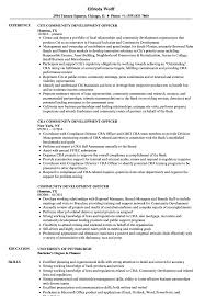 community development officer resume