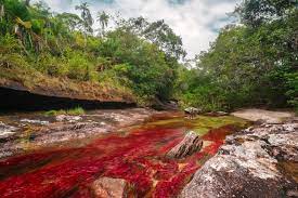 Maybe you would like to learn more about one of these? Cano Cristales Rio En La Macarena Meta 1024x681 Traveler S Buddy