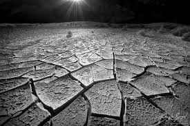 Check spelling or type a new query. Black And White Images Art In Nature Photography