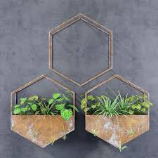 Hexagon Shelves 3d Max Hexagon Shelves Plant Shelves Hexagon