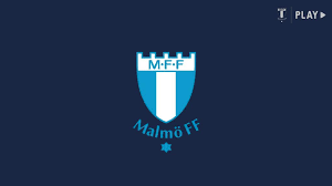 Mff (mitochondrial fission factor) is a protein coding gene. Mff Play Premium