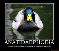 Hey You Duck Stop Watching Me Funny Phobias Weird Phobias Phobias