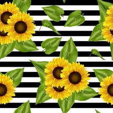 Check spelling or type a new query. Sunflower Background Photos And Wallpaper For Free Download