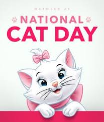 Scoop your regal cat right off the ground and snuggle the heck out of it until it feels the love. 10 Best National Cat Day October 29 Ideas National Cat Day Cat Day Cats