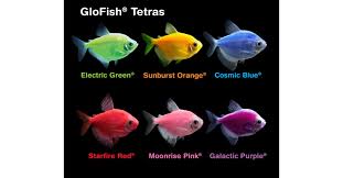 Locksets and door hardware under the kwikset, weiser, baldwin. Glofish Brand Of Spectrum Brands Pet Llc Expands Fluorescent Fish Offerings In Canada