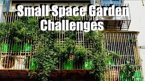 Kitchen garden ideas for indian homes for the beginners. Small Space Garden Challenges Feat Mumbai Balcony Gardener Small Space Garden Series 5 Youtube
