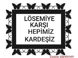 Losemi Haftasi Icin Hazirladigim Pankartim Okul Oncesi Sinifi Farkindalik Okul Oncesi