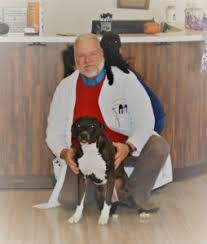 Maybe you would like to learn more about one of these? Our Veterinary Team In Virginia Beach Va Abbey Animal Hospital