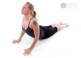 Yoga Postures Yoga Postures Yoga Poses Postures
