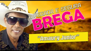 AMAURY JUNIOR