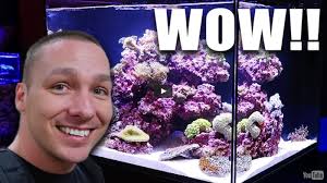 Check spelling or type a new query. Transport Yourself To Reefstock With The King Of Diy Reef Builders The Reef And Saltwater Aquarium Blog