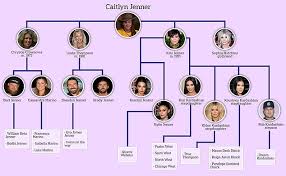 Kardashian shocking family net worth 2020 if you're new, subscribe! I M A Celebrity Fans Are Convinced Caitlyn Jenner Has Revealed Another Family Pregnancy Daily Mail Online