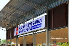 The bus terminal is quite big to accommodate the number of buses going in and. How To Get From Dungun To Kuala Terengganu