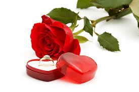 Wallpaper 3840x2560 Px Engagement Flower Gold Happy Life Love Marriage Red Ring Romantice Rose Spring 3840x2560 Coolwallpapers 1746341 Hd Wallpapers Wallhere This is really an amazing apps which gives much more logical information about happy married life.i am grateful and thankful to see apps like this. 3840x2560 px engagement flower gold