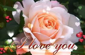 Romantic i miss you quotes for her. 10 Cute Love Flower Images Top Collection Of Different Types Of Flowers In The Images Hd