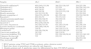 PDF] Multiple-host fungi are the most frequent and abundant ectomycorrhizal  types in a mixed stand of Douglas fir (Pseudotsuga menziesii) and bishop  pine (Pinus muricata) | Semantic Scholar