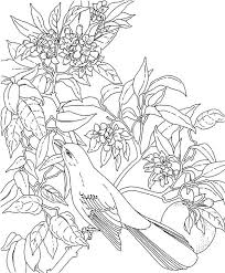 Learn about famous firsts in october with these free october printables. Florida Mockingbird Coloring Page Purple Kitty