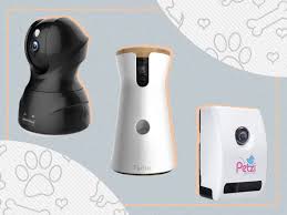 See full list on coffeeteaclub.co.uk Best Pet Cameras 2021 For Dogs And Cats The Independent
