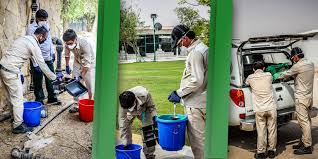 Well before when green was cool. Termites Info Termites Control Qatar
