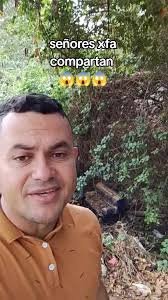 Reflexiones sobre la Humildad y sus Curiosidades