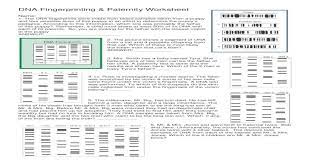 Mcat biochemistry | kaplan guide. Dna Fingerprinting Paternity Worksheet Dna Fingerprinting Paternity Worksheet Name 1 The Dna Fingerprints Were Made From Blood Samples Taken From A Puppy