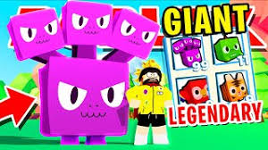 Making giant cats *without giant cat code* in roblox pet simulator!!! Calixo Roblox Adventures Ø§Ù„Ø¬Ø²Ø§Ø¦Ø± Vlip Lv