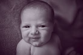 Studio 7 Photography