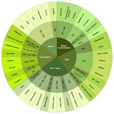 I Dont Use Thc Anyhow But After Looking On This Chart I