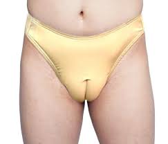 Irrespective of your profession, these camel toe panties can provide comfort throughout the day while you wear them. Crossdresser Transgender Camel Toe Panty With Mesh Front Nude Buy Online In Antigua And Barbuda At Antigua Desertcart Com Productid 70401709