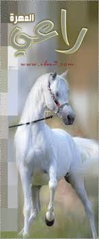 نورة ال رشيد ترثي حايل وشمر صدام شمر منتديات شبكة ابن الصحراء