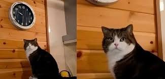 images?q=tbn:ANd9GcTE3S4nWRsMGnFmXY1I__D