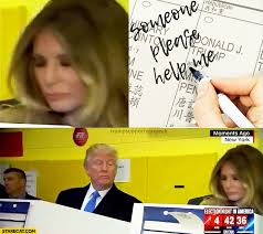 Business cat knows voting is serious business. Melania Trump Someone Please Help Me Written On Her Voting Card Donald Trump Usa Elections Starecat Com