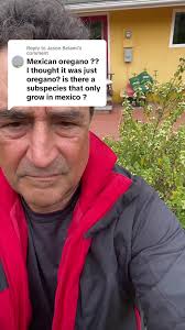 What Vegetable Did Guerrero First Grow